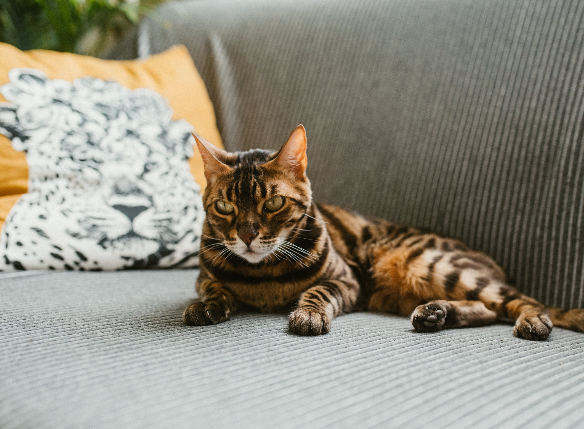 Instagram post image