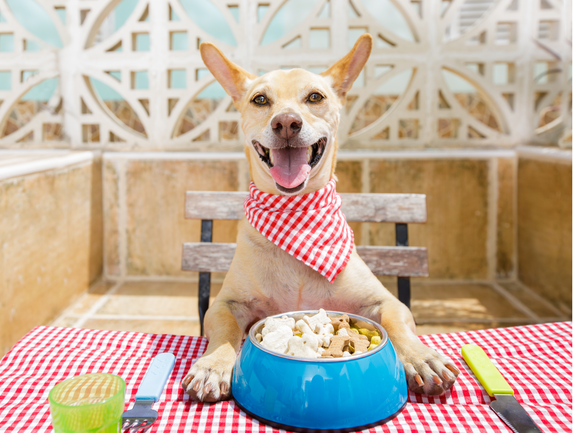 Instagram post image